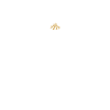 Camping pyromane scout