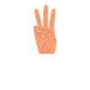 Insigne scout Chef scout