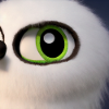 Cute Eyes