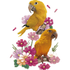 The Golden Parrot