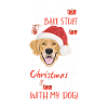 Golden Retriever Merry Christmas