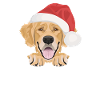 Golden Retriever Merry Christmas