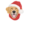 Golden Retriever Merry Christmas