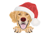 Golden Retriever Merry Christmas