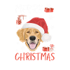 Golden Retriever Merry Christmas