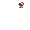 Hovawart Joyeux Noël