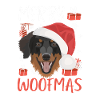 Hovawart Joyeux Noël