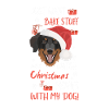 Hovawart Joyeux Noël