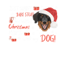 Hovawart Merry Christmas