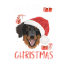 Hovawart Merry Christmas