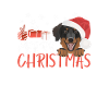 Hovawart Joyeux Noël