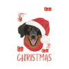 Hovawart Joyeux Noël