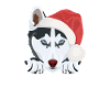 Husky Merry Christmas