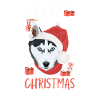 Husky Merry Christmas