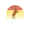 C’est ma chemise de chevaux