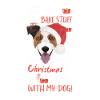 Jack Russell Terrier Merry Christmas