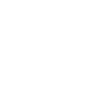 Evolution Diver