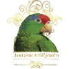 The Tamaulipas parrot