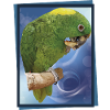 The yellow-naped parrot