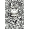 Hidden cat