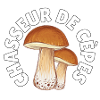 Chasseur de cèpes