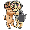 Morkie dog lover