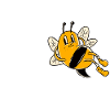 Spelling Bee Champ 2