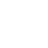 Développeur Coder Programmeur King