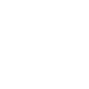 Developer Coder Programmer Developer