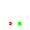 Cocker Spaniel