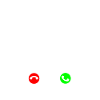 Collie