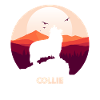 Collie