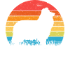 Collie
