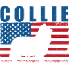 Collie