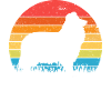 Collie