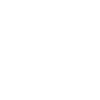 Salade tomate oignon