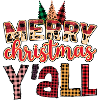 Merry Christmas Y'ALL