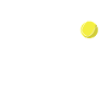 tennis gift