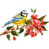 Bunter Vogel