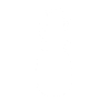 Silhouette d’ananas