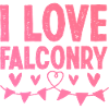 I love falconry