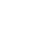 Algeria map flag