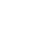 Bolivia map flag