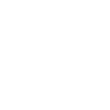 Brunei map flag