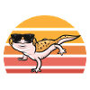 Gecko Lovers