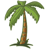 Palm tree
