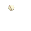 Softball Coach