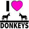 Donkey