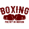 Boxsport Boxing