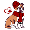 Winter Dog - English Bulldog